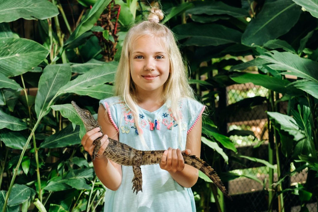 Summer portrait of a happy little girl on the island of Mauritius with a crocodile.Girl at the zoo