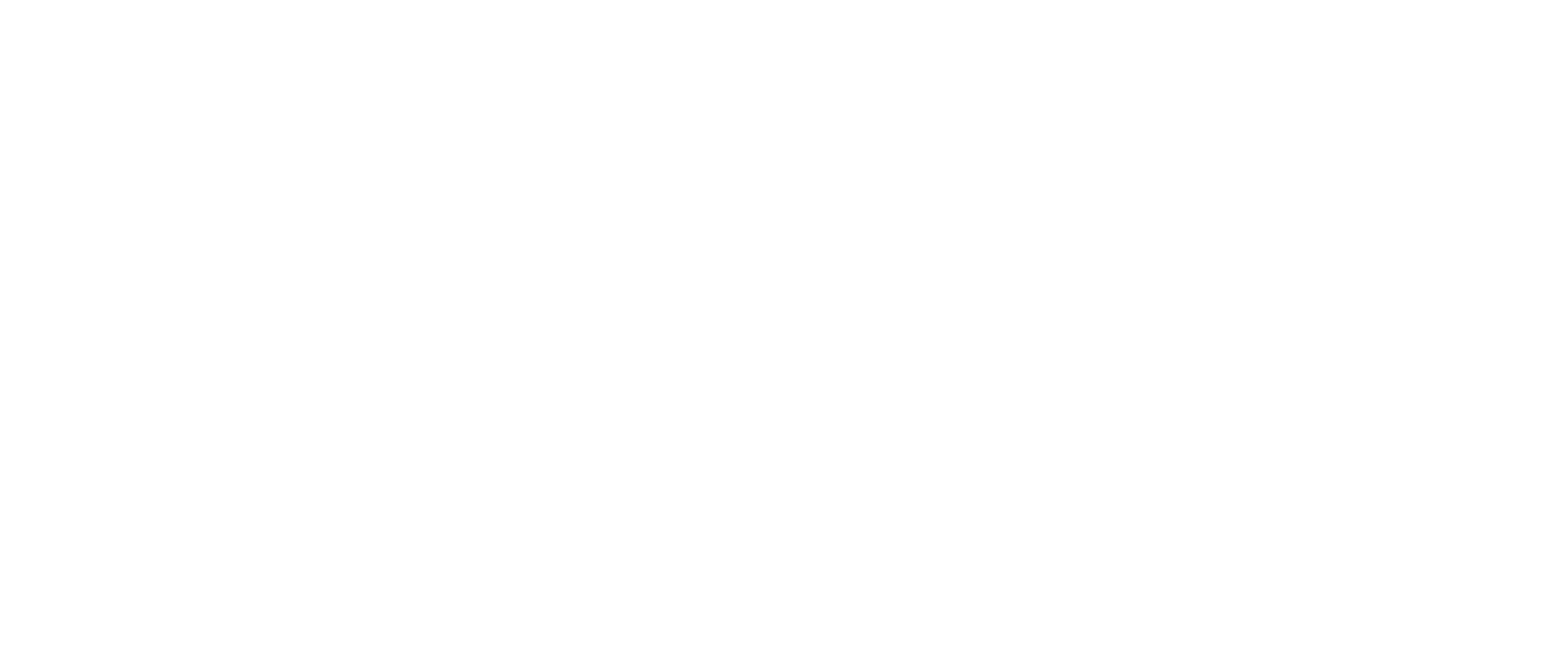 Zooventour_logo_white